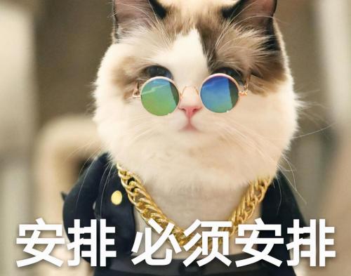 無毛貓多少錢（這幾種貓真的不值得買）