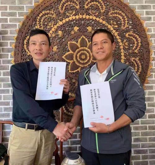 最贵的茶叶多少钱一斤（2020年冰岛茶王树普洱茶99万成交）
