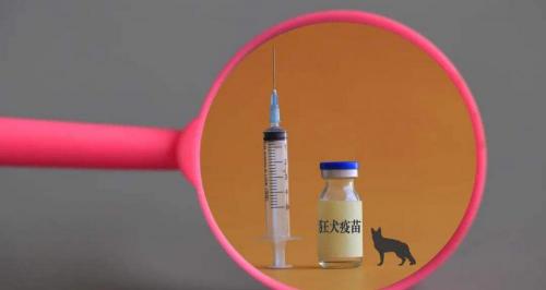 狂犬疫苗一针多少钱（打了狂犬疫苗为何还会发病）