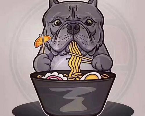 比特犬价格多少钱一只（恶霸犬号称犬界）