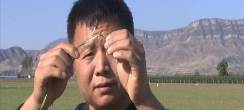 石磨面粉机多少钱一台（断腿小伙深山磨面年销百万）