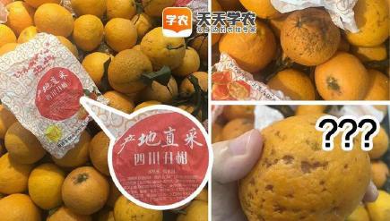 褚橙多少錢一斤（除了紅美人）