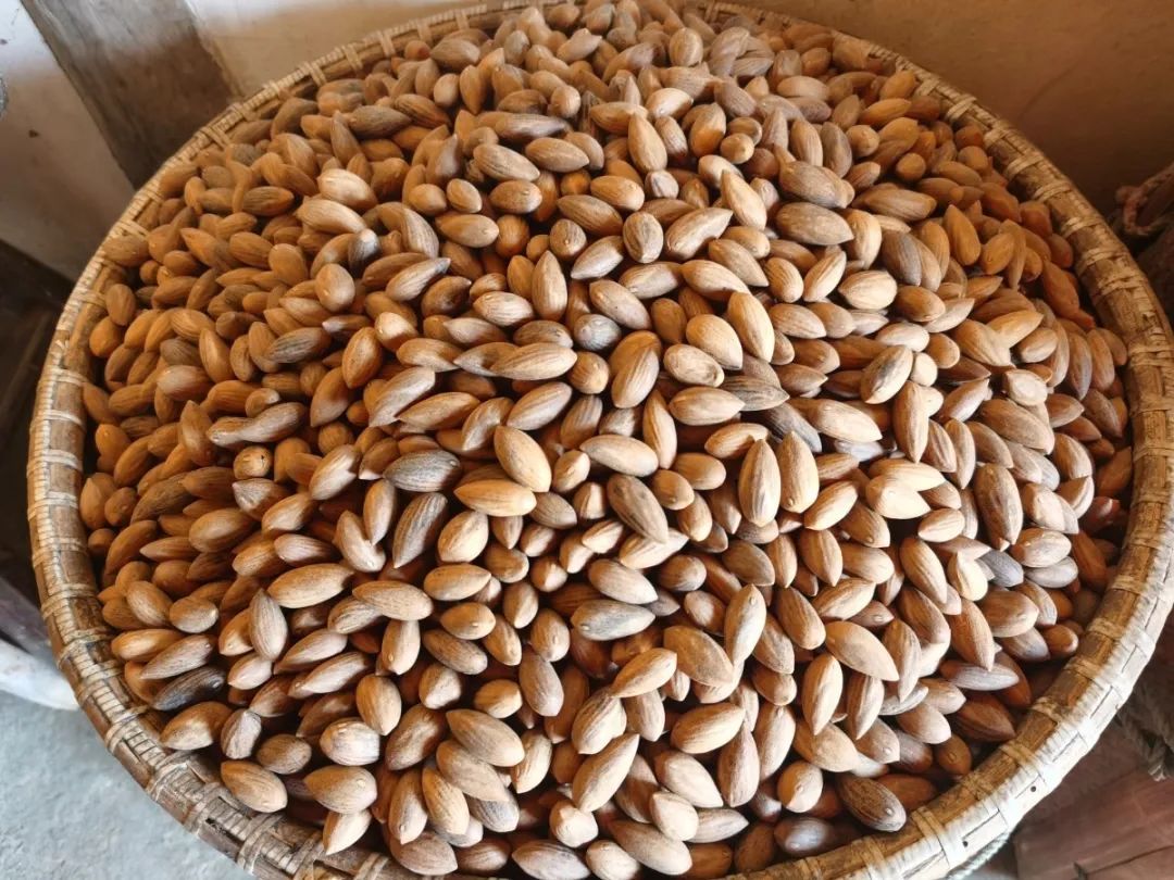 香榧多少钱一斤（质量不好我宁可不卖）