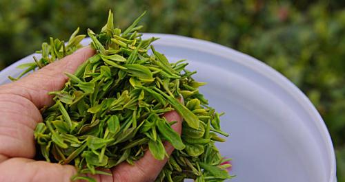云南滇红茶多少钱一斤（2000元一斤的茶叶）