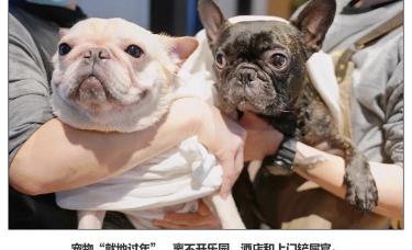 养一只猫一个月最少花多少钱（拼了一年的）