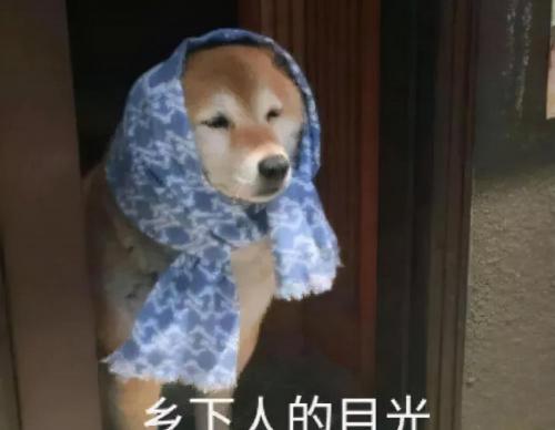 智能家居系统多少钱一套（小心智能变智障）