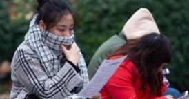 考研报名费多少钱（研究生的学费清单走红）