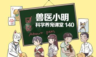 狗证怎么办理多少钱（办狗证真的有必要吗）