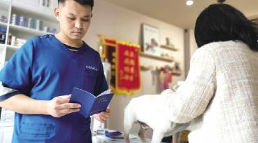 法牛犬价格多少钱一只（电子犬证）