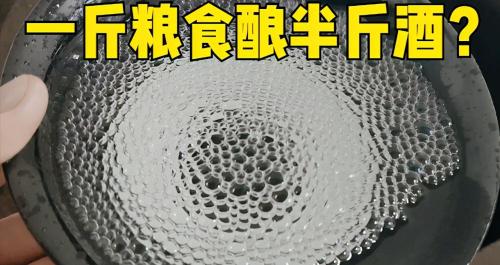 高粱多少錢一斤（一斤糧食釀成半斤酒）