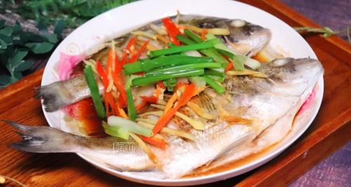黑鯛魚多少錢一斤（老釣手也沒把握釣的海魚）