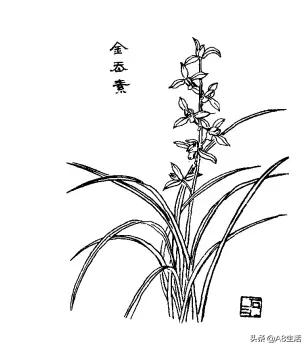 上环要多少钱（每日一品）