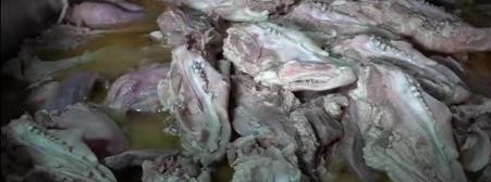 猪头肉多少钱一斤（盐城小伙接手岳父手艺卖猪头）
