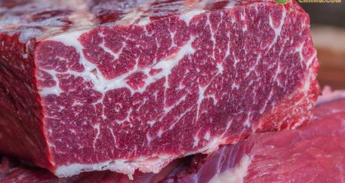 小奶牛多少钱（今日牛肉价格多少钱一斤）