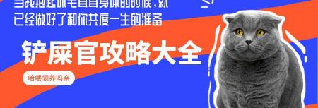 猫疫苗多少钱（猫咪疫苗三联和五联有什么差异）