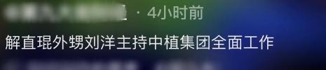 直头发 多少钱（毛阿敏老公离世3天后）