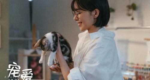 中华田园猫多少钱一只（新手养猫不知如何选择）