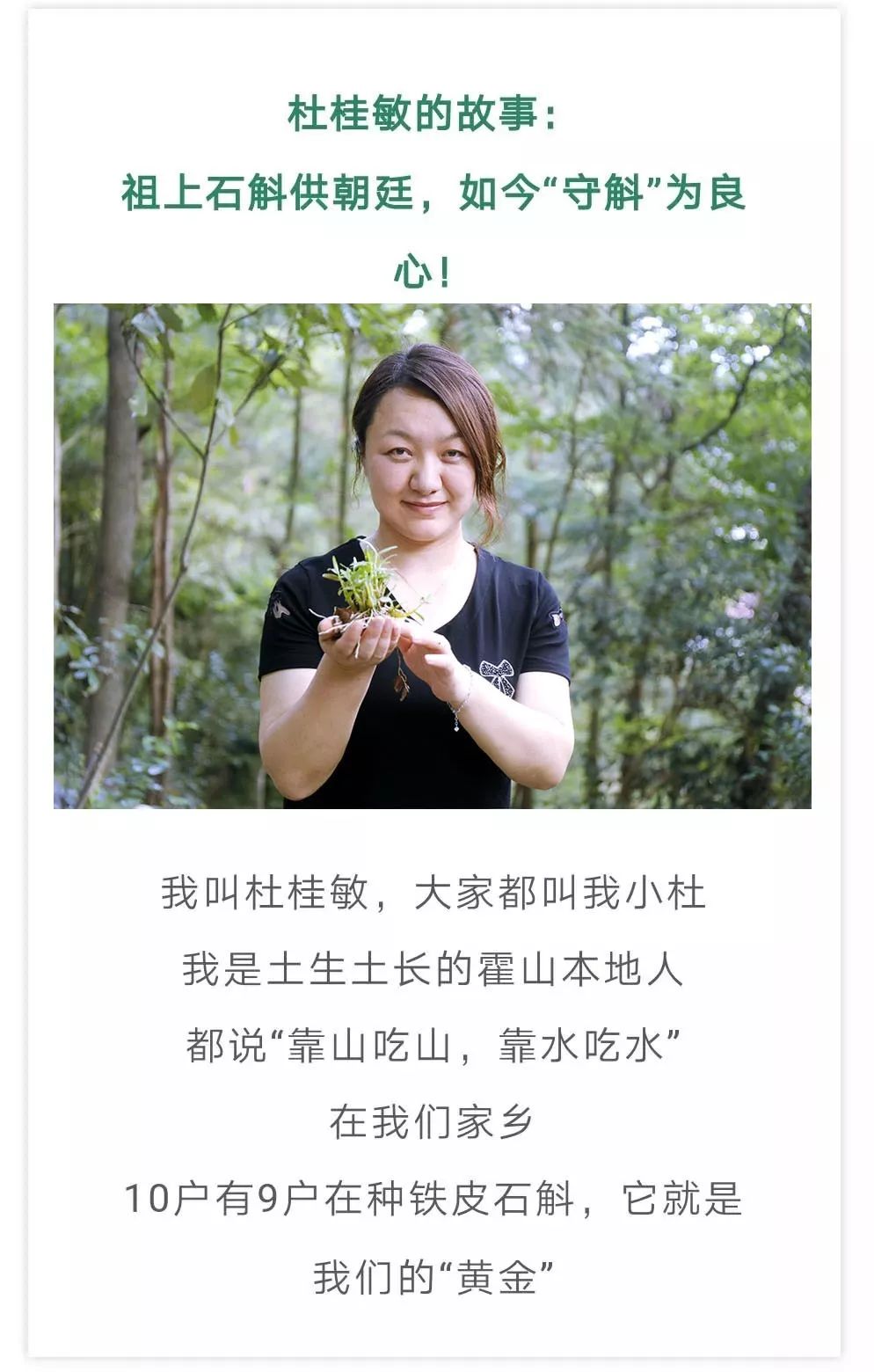 霍山铁皮石斛多少钱一斤（它是）