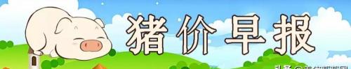 血清多少钱一针（2020）