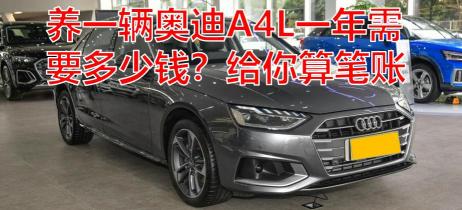 全险多少钱一年（养一辆奥迪A4L一年需要多少钱）