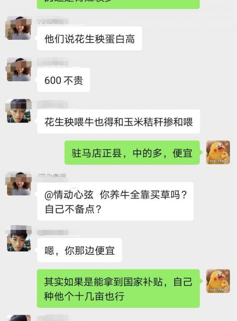 牧草价格多少钱一吨（种一亩地牧草能赚2400元）