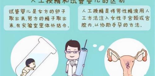 人工受孕大概多少钱一次（提醒）