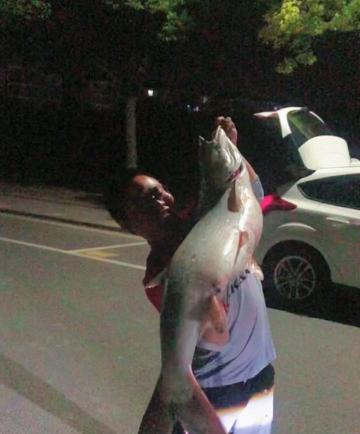 鳡魚多少錢一斤（安徽釣魚人釣起罕見）