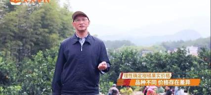 赣南脐橙多少钱一斤（赣南脐橙即将开摘）