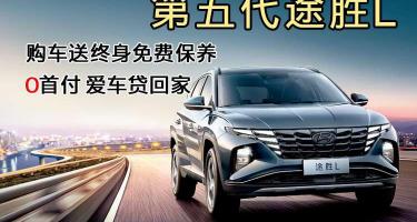全险多少钱一年（第五代途胜）