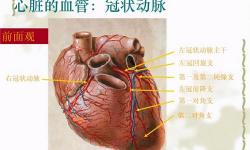 造影是什么大概多少钱（冠脉CT造影检查是怎样做的）