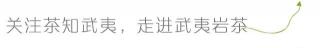 大红袍多少钱一斤（大红袍的价格为何差距这么大）
