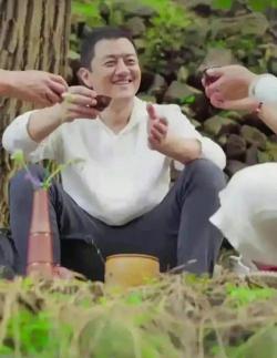正宗冰島茶多少錢一斤（飯圈找茶）