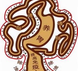 c13检查多少钱（觉得胃肠不舒服）