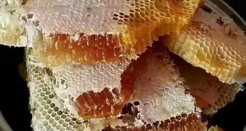 40箱蜂一年赚多少钱（养蜂人发明的小蜡片）