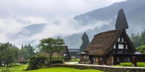 地牯牛多少錢一斤（這種農村常見的小蟲子）
