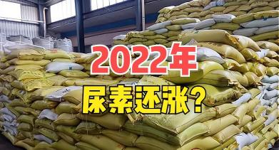 50公斤尿素多少钱一袋（尿素用肥高峰期开启）