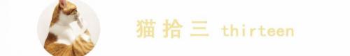 短腿貓價格多少錢一只（腿長一米七）