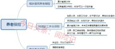 养老保险最高档多少钱（50多岁养老保险怎么买）