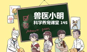 怀孕弓形虫检查多少钱（怀孕就不能养狗）