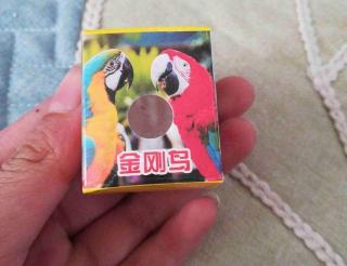 鹦鹉多少钱（原来金刚鹦鹉蛋是这样的）