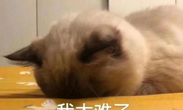 拍片子多少钱（10秒钟了解影视行业行价）