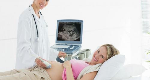 孕妇nt检查需要多少钱（听说孕妇都做NT检查）