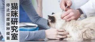 猫咪抗体检测多少钱（疫苗问题终极回答）