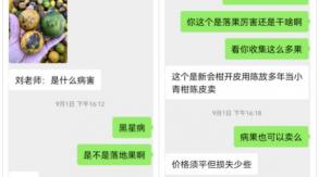 新会陈皮多少钱一斤(新会柑6元)