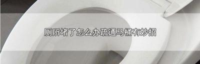 厕所堵了通一次多少钱（厕所堵了怎么办疏通马桶有妙招）