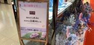 金戒指多少钱一克（一万多元的金手镯竟能便宜一千多）