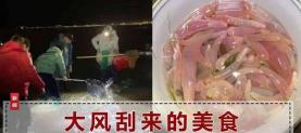 地龙多少钱一斤（1斤能卖上百元）