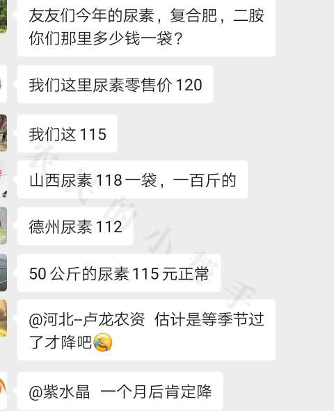 现在尿素多少钱一吨（尿素每吨上涨200元）