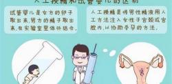 人工受孕多少钱（提醒）