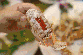 青衣魚零售多少錢一斤（揭秘海口神秘海鮮市場）